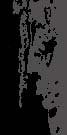 masthead right image